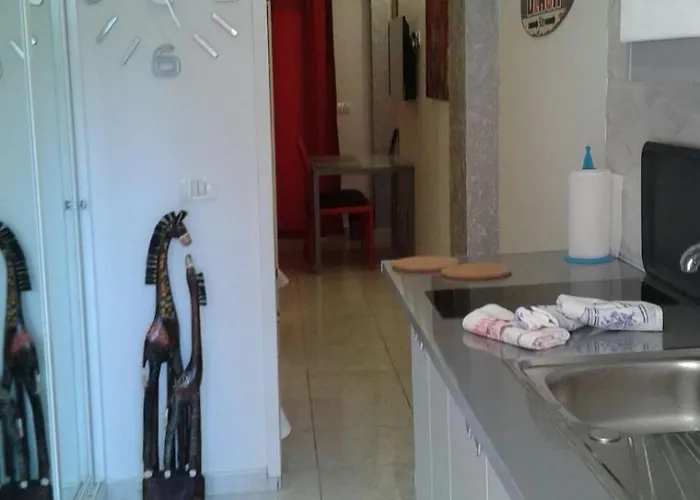 Seguro De Sol 푸에르토 드 라 크루즈